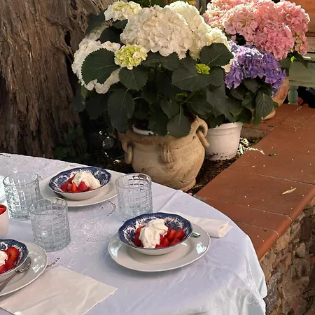 Bed & Breakfast La Bergerie