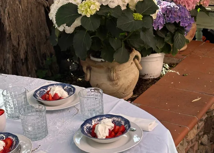 Bed & Breakfast La Bergerie